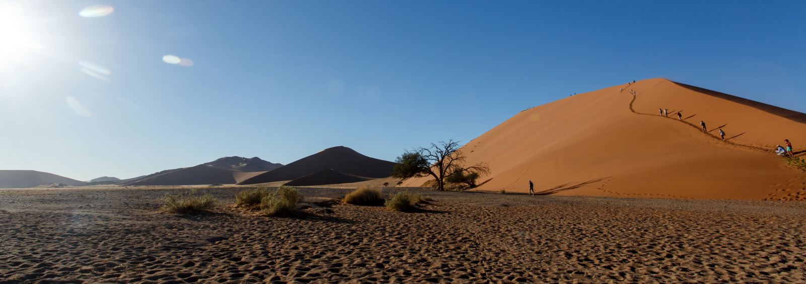 Große Düne mit einem einzelnen Baum am Fuß, Fußspuren ziehen sich durch den weichen Sand