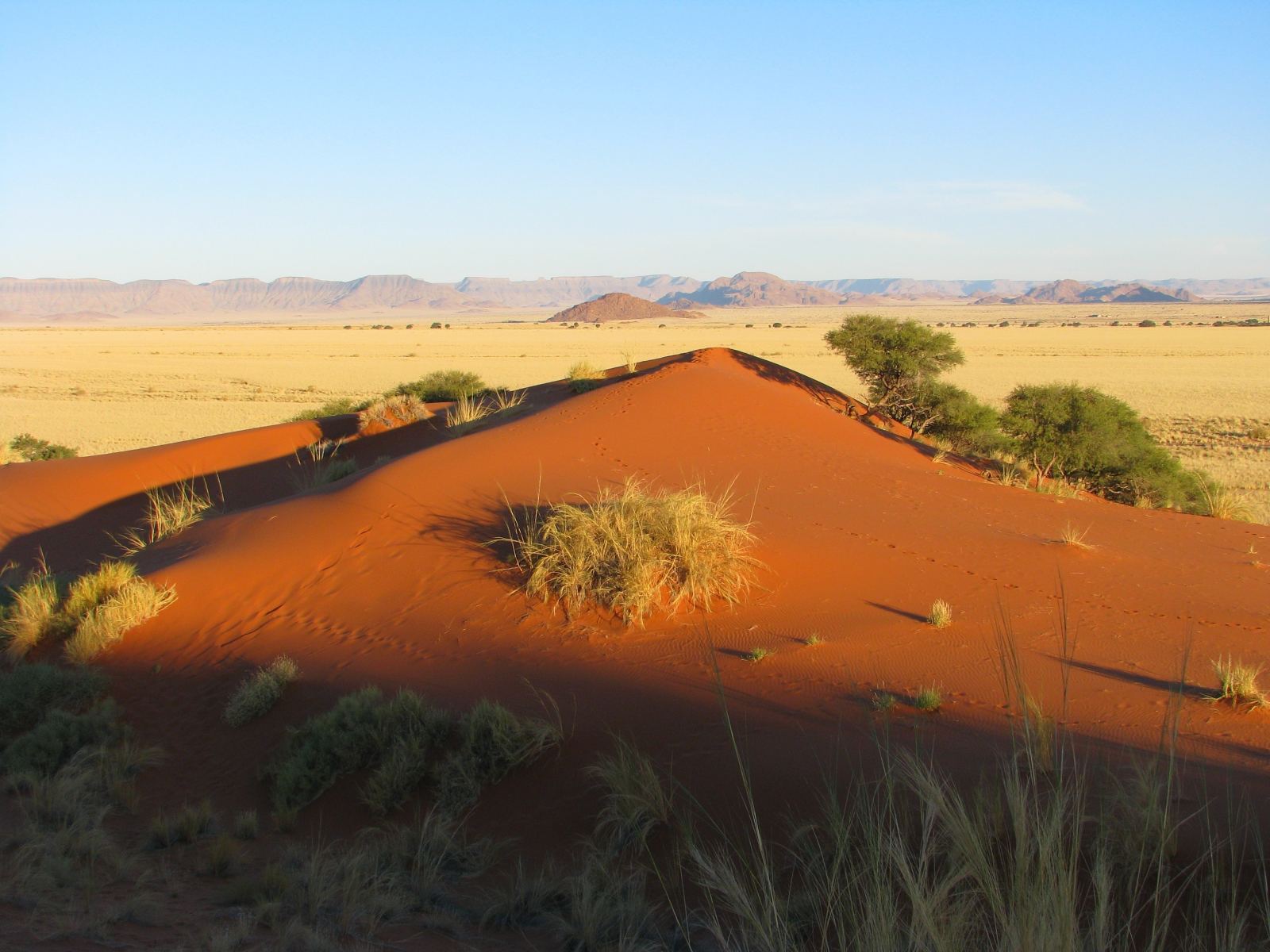 A red dune above a plain of grass with mountains behind it