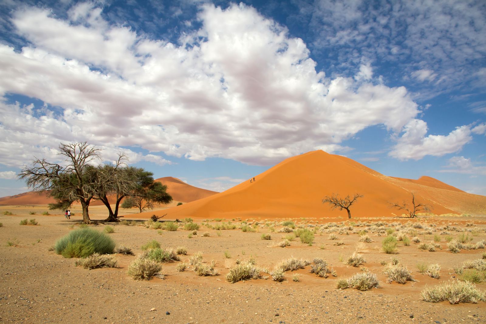 Rote Dünen mit Kameldornbäumen unter Wolken