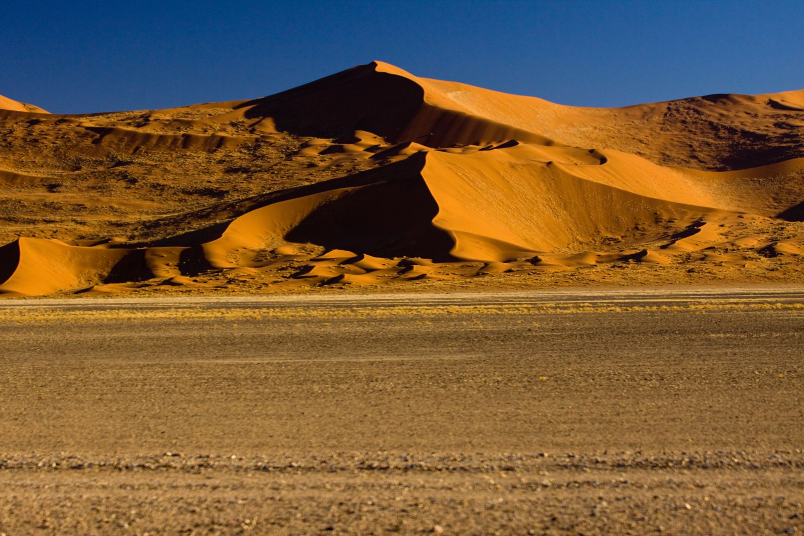 A chain of red sand dunes with sharp crests in morning light