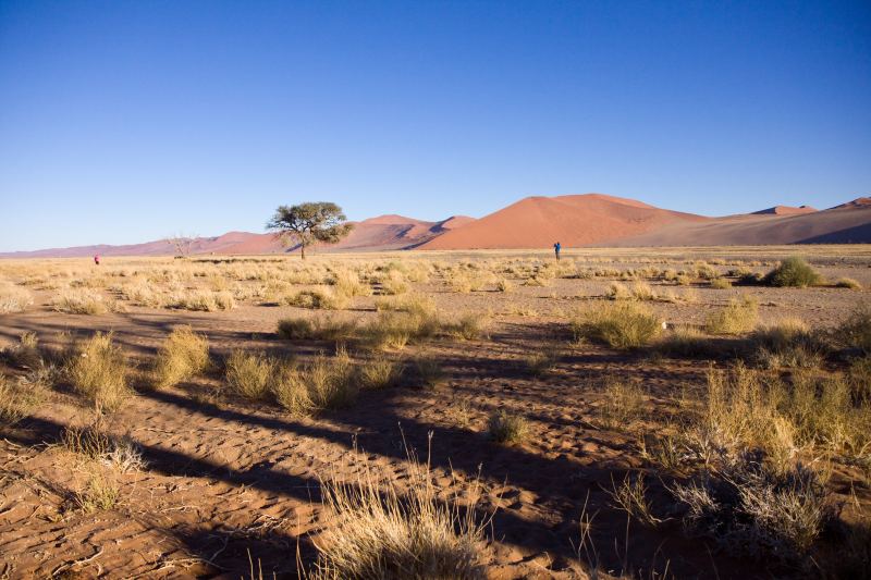 A wide gravel plain in morning light with a line of dunes behind it and long shadows